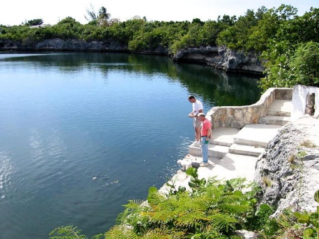 Sand Dollar Cottage Cottage Rock Sound Exterior photo